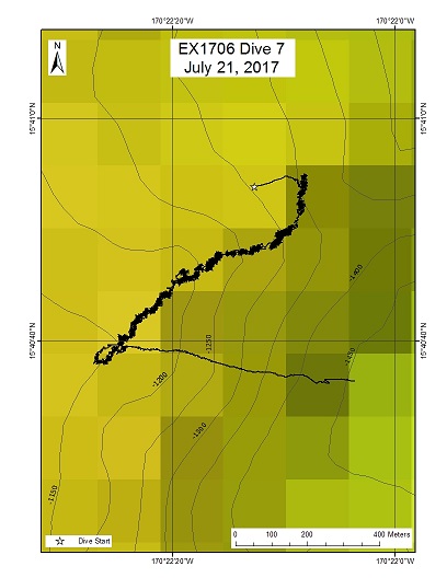 Dive Track