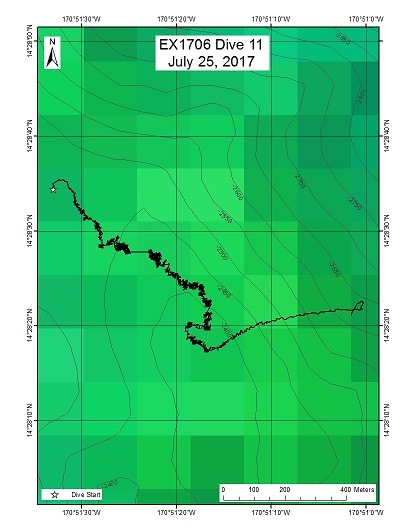 Dive Track