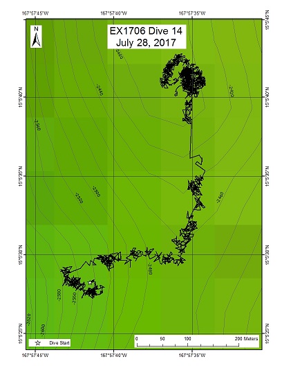 Dive Track